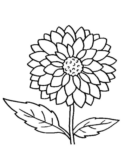 flower coloring pages to print|37 Flower Coloring Pages .